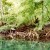 Look for the monkey and bird in this photo. Look for the monkey and bird in this photo.