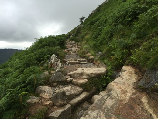 The track is steep in places with rocks forming steps.
