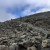 The summit plateau should soon be within our sights.