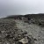 The summit plateau is within sight, though disappointingly it is under cloud cover. Hopefully it wont have dense cloud cover which will spoil our photo opportunities.