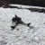 Rob's inner child gets the better of him and he can't resist temptation to snow angel. I bet it's still freezing cold on those bare legs.