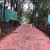 Red mud road of Matheran
