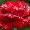Haseeb Ahmad13 profile image