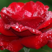 Haseeb Ahmad13 profile image