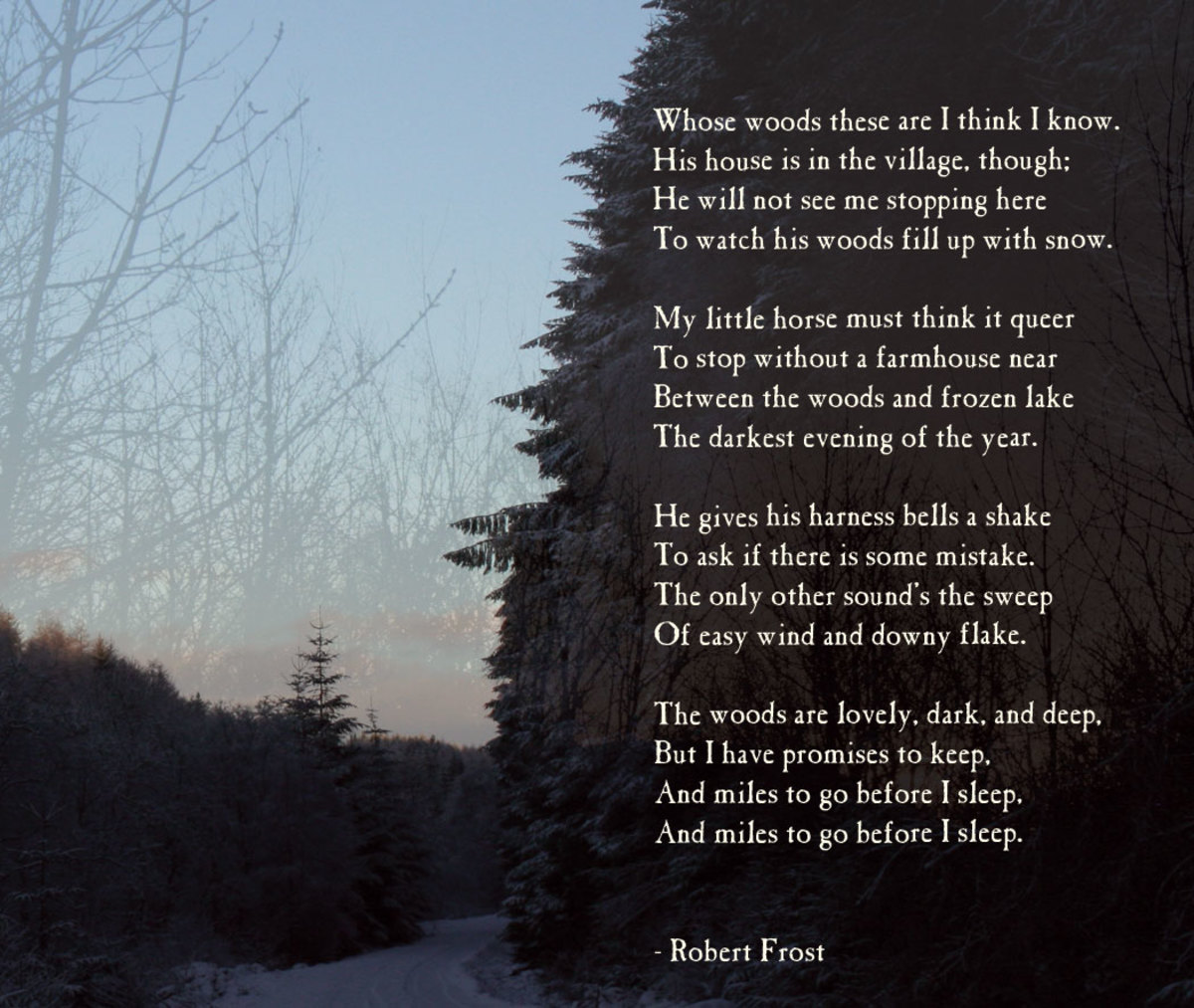 In A Dark Dark Wood Poem Poems on Winter Survival | Owlcation