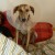 http://www.flickr.com/photos/marianneperdomo/311895470/ http://www.flickr.com/photos/marianneperdomo/311895470/
