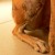 http://www.flickr.com/photos/marianneperdomo/311895467/ http://www.flickr.com/photos/marianneperdomo/311895467/