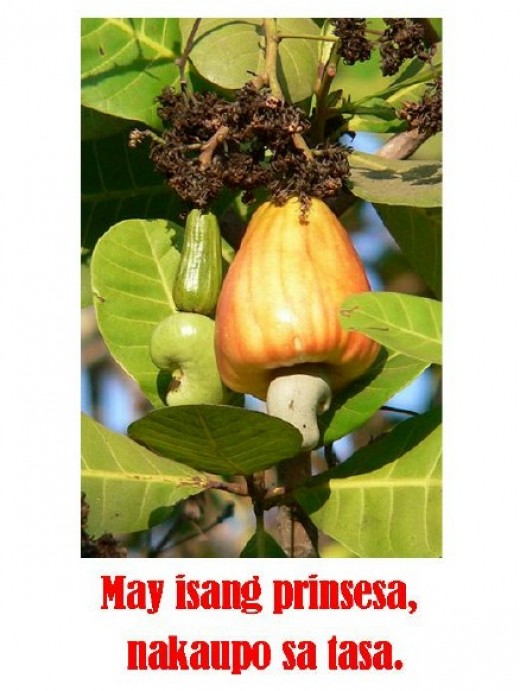 Filipino Riddles Collection