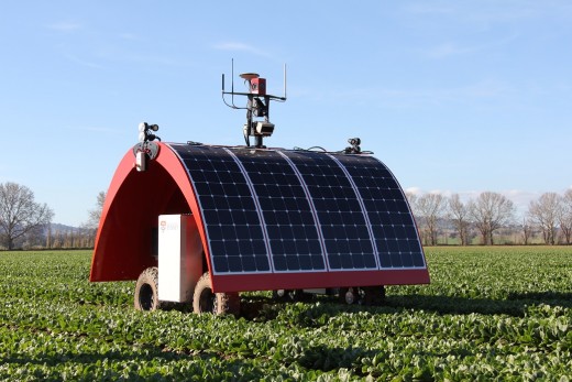 Robots are being developed that can work in farm fields to tend to crops.
