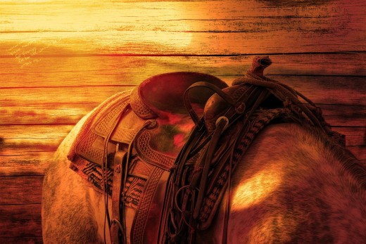 Saddle pad and saddle are important horse equipment for riding.
