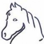KathGiggles profile image