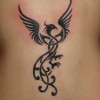 Pheonix Gypsy profile image