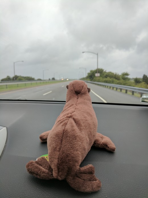 Driving on road trips is a lot easier with a friend to help you out. Driving on road trips is a lot easier with a friend to help you out.