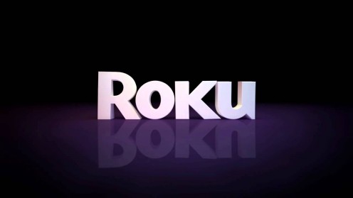 Roku offers a variety of devices at different price points that make it easy to access Netflix.