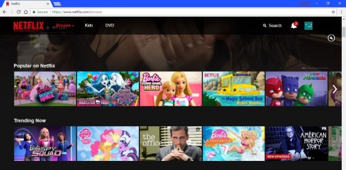 You can always access Netflix through a Web browser on your laptop or desktop computer.
