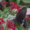 naturecare profile image