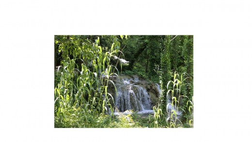 1/250th second 1/250th second