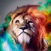 Faysal11 profile image