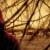 The Village (2004) - Directed by M.Night Shyamalan (director of The Sixth Sense, The Visit, Split) - starring Joaquin Phoenix, Adrien Brody, Bryce Dallas Howard, and William Hurt The Village (2004) - Directed by M.Night Shyamalan (director of The Sixth Sense, The Visit, Split) - starring Joaquin Phoenix, Adrien Brody, Bryce Dallas Howard, and William Hurt