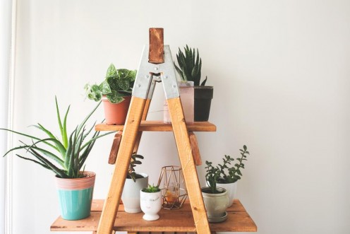 Homemade Plant Shelf (Craft/DIY)
