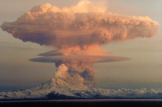 Nuclear Holocaust or Mushroom