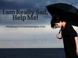 https://usercontent2.hubstatic.com/13753553_f260.jpg