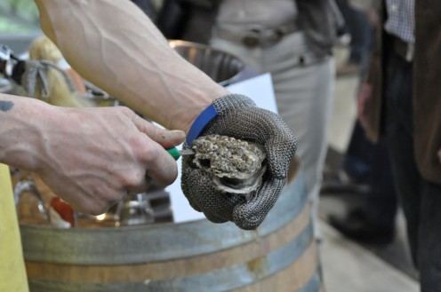 It may be best to avoid raw oysters