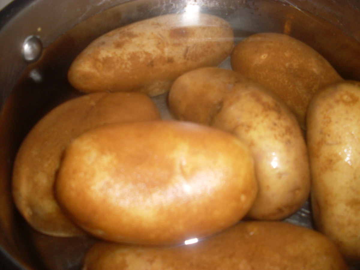 boiled potatoes for preparing the ultimate cheesy potatoes recipe 