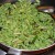 By this time, the beans become tender and are still crunchy. By this time, the beans become tender and are still crunchy.