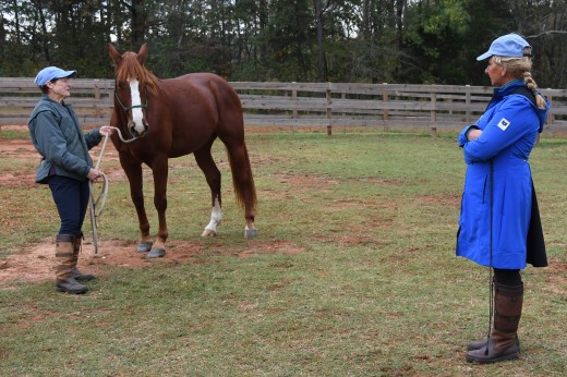 Yvonne Barteau did a hands on clinic during the Tryon International Film Festival.