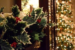 The History of Christmas Plants: Poinsettia, Holly, and Mistletoe