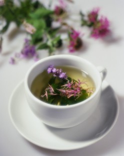 Nettle Leaf Tea And Its Health Benefits