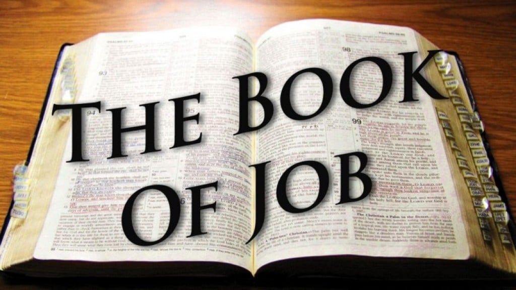 essay on the book of job