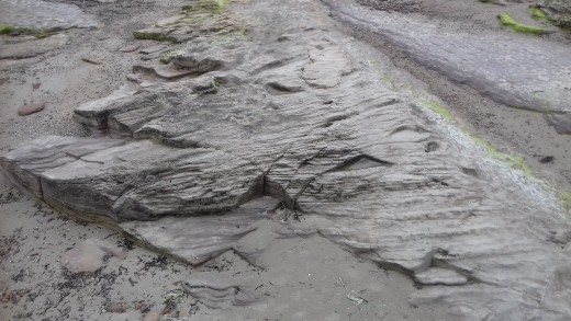 Fig 3. The pattern of the erosion in the rocks here looks like wood. Maybe it is wood.