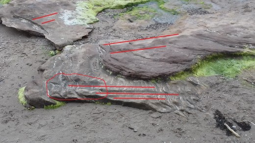 Fig 9. Detail. There is another raised area in the rock at the upper left too.