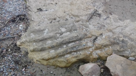 Fig 7. 