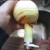 core apple core apple