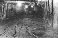 Over 400 miners were in the mine when the explosion occurred.  Many ended up walking out in Dolomite and slowly making their way back up the hill to Pleasant Grove. their families were insure of their fate as they walked home. 