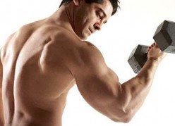 The Best Protein Powder That Helps You Build Muscle