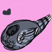 Broekhof profile image