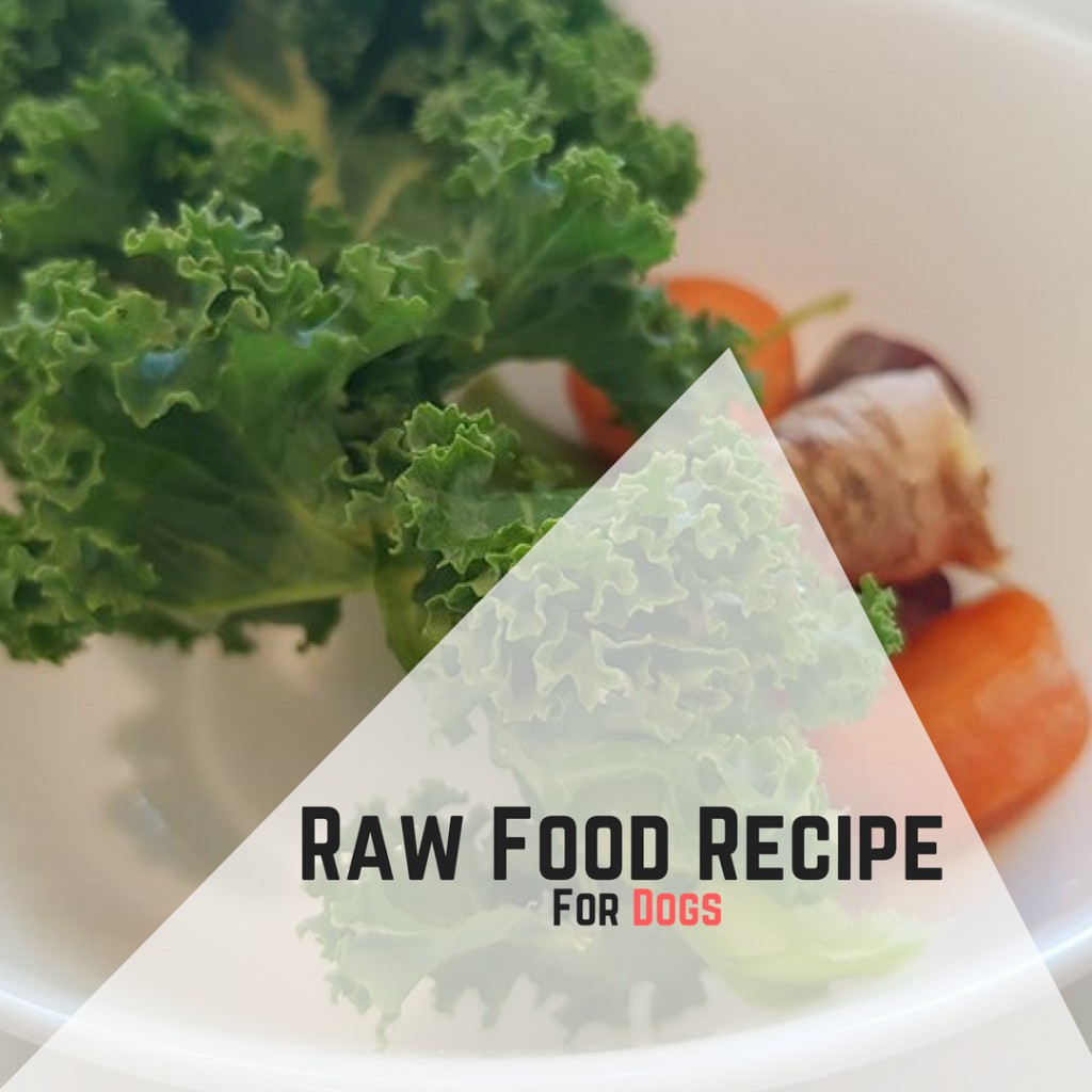 Raw Food Recipe For Dogs HubPages