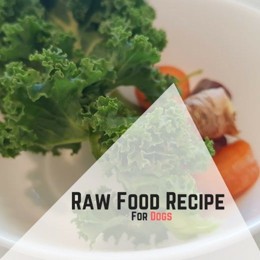 Raw Food Recipe For Dogs
