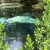 Silver Glen Spring Silver Glen Spring