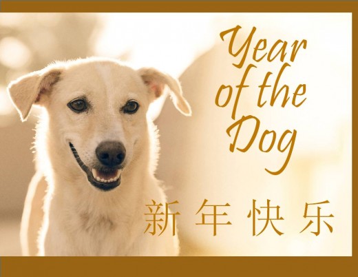 Year of the Dog Photo Cards. The Chinese characters say "Happy New Year."