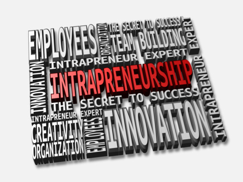 Intrapreneurship