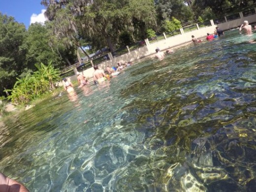 A view of Salt Springs standing in the water.
