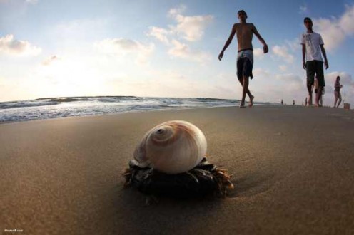 Great Beach Shot