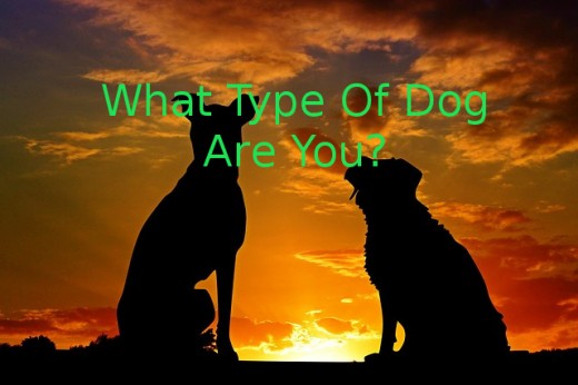 What Type Of Dog Are You For God? | HubPages