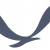 laurentmikhail profile image