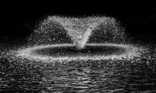 The Fountain (9, July, 2017